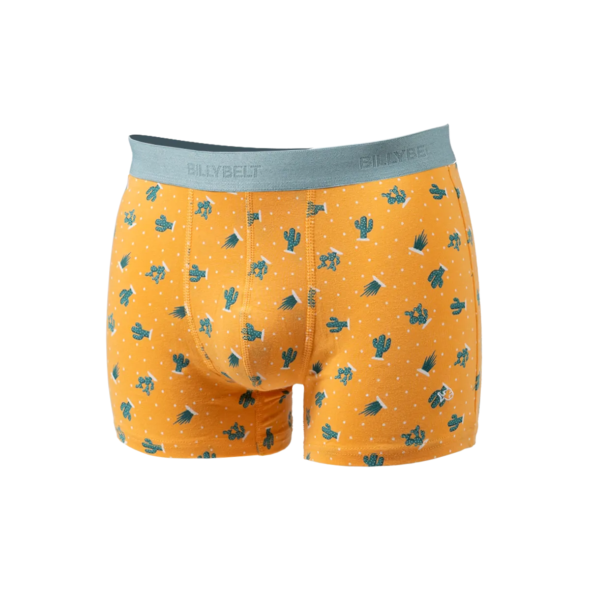 BOXER EN COTON BIOLOGIQUE - BILLYBELT pour HOMME | Printemps