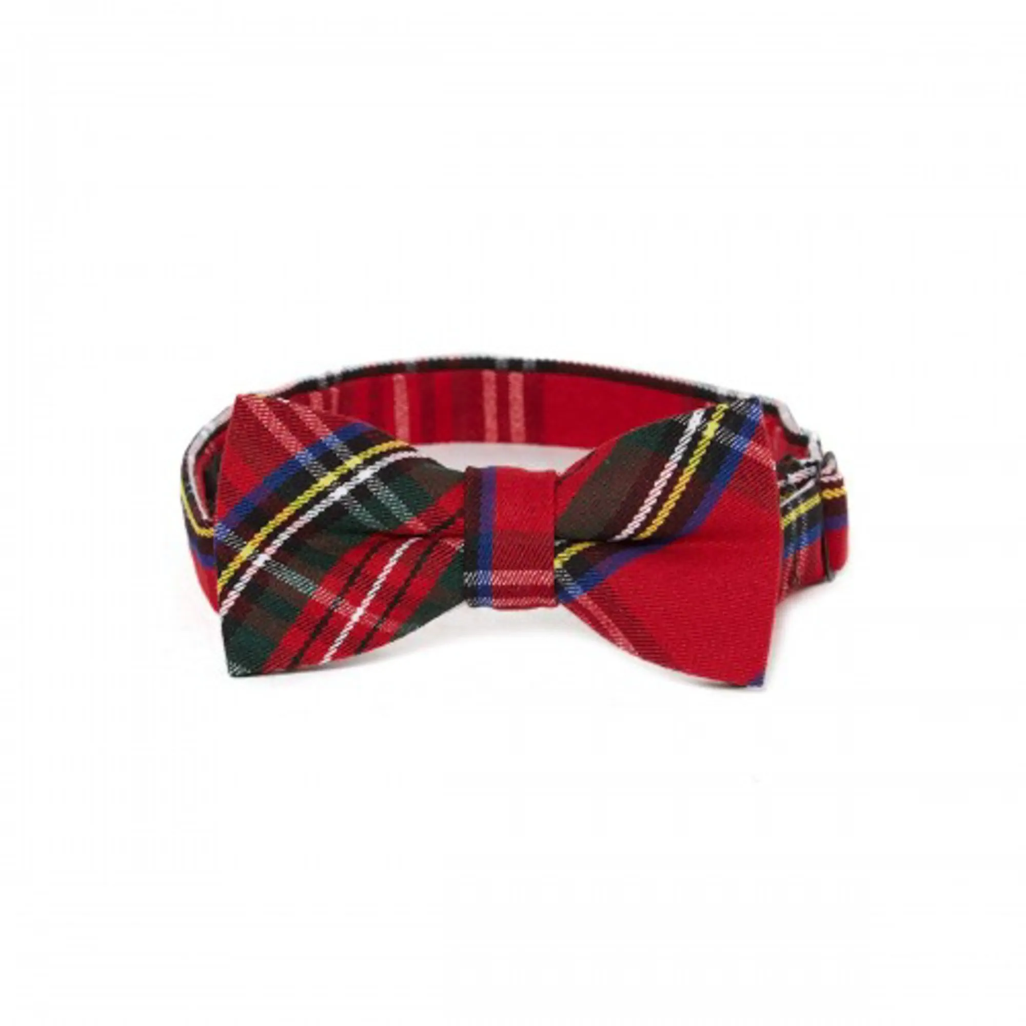 Noeud papillon écossais rouge