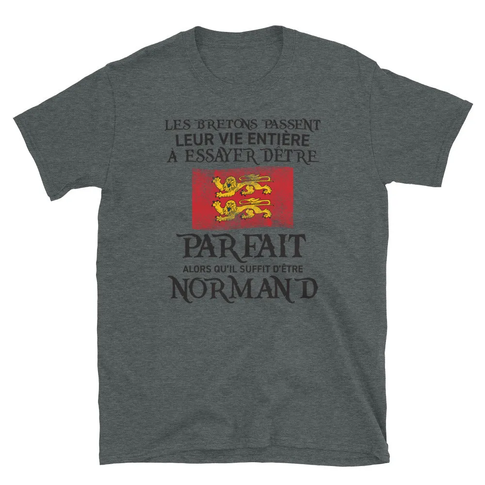 Normand Parfait Vie entière - T-shirt Standard