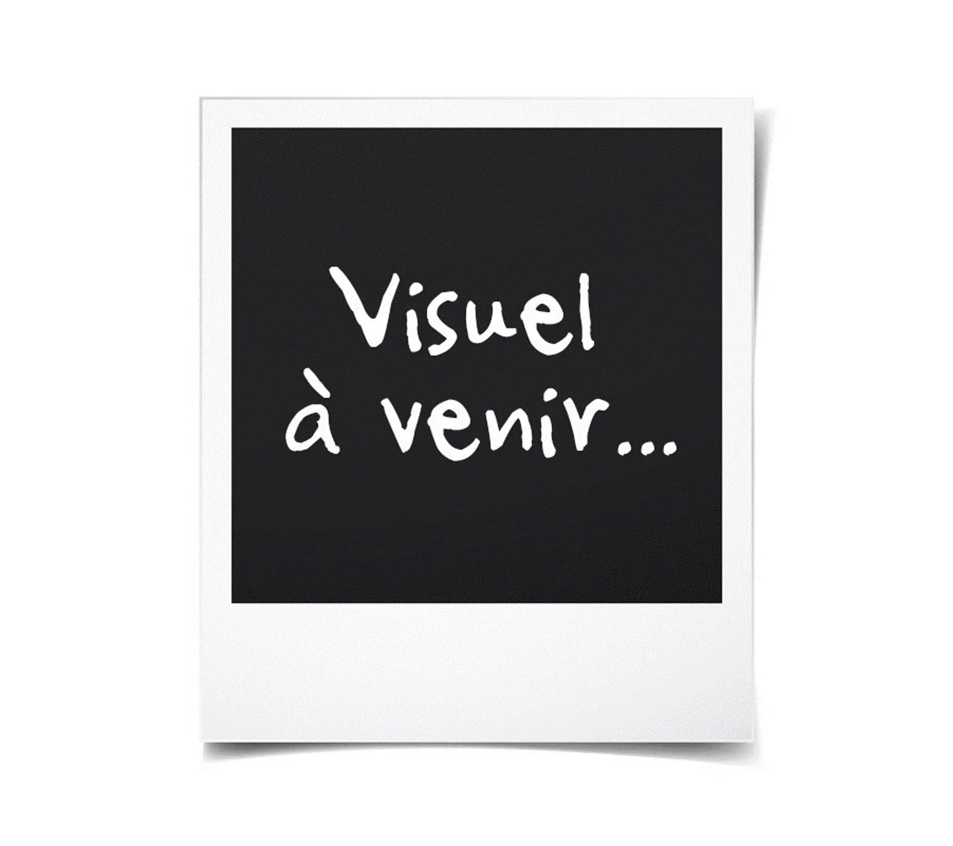 Ventilateur Sur Pied 40cm 60w 3 Vitesses Blanc - Vlp.majestic